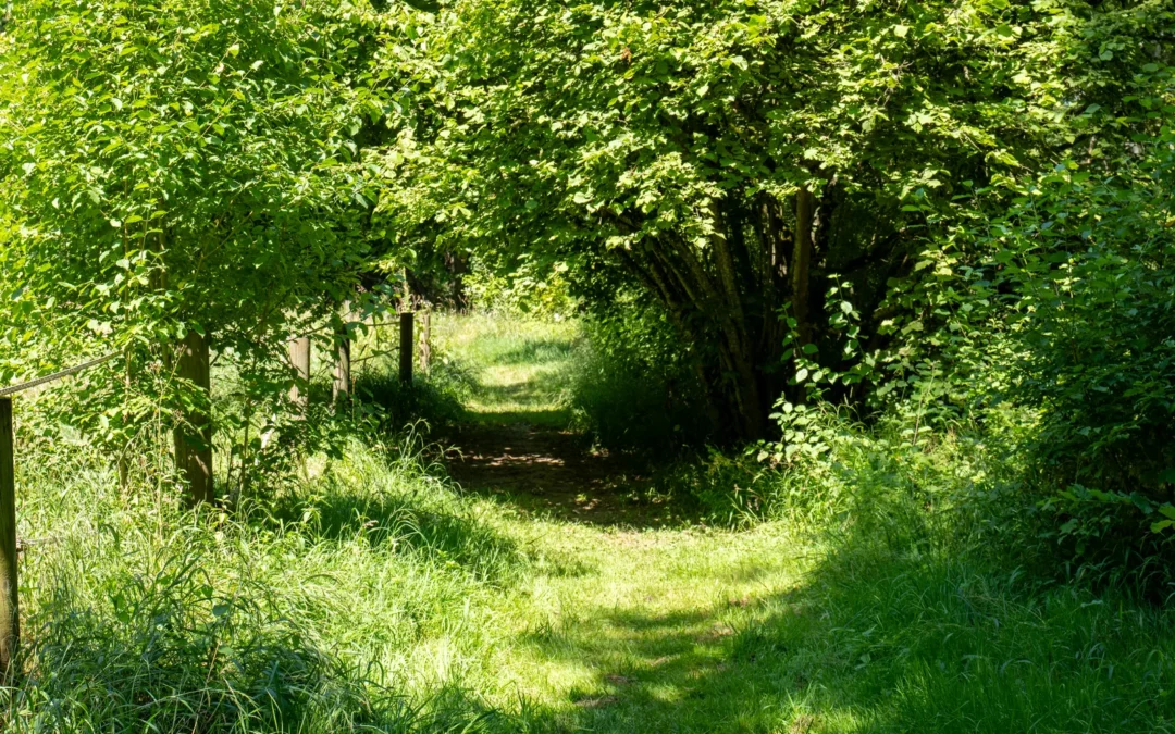 Parc clos de 3,5 hectares traverse par la riviere la Tille
