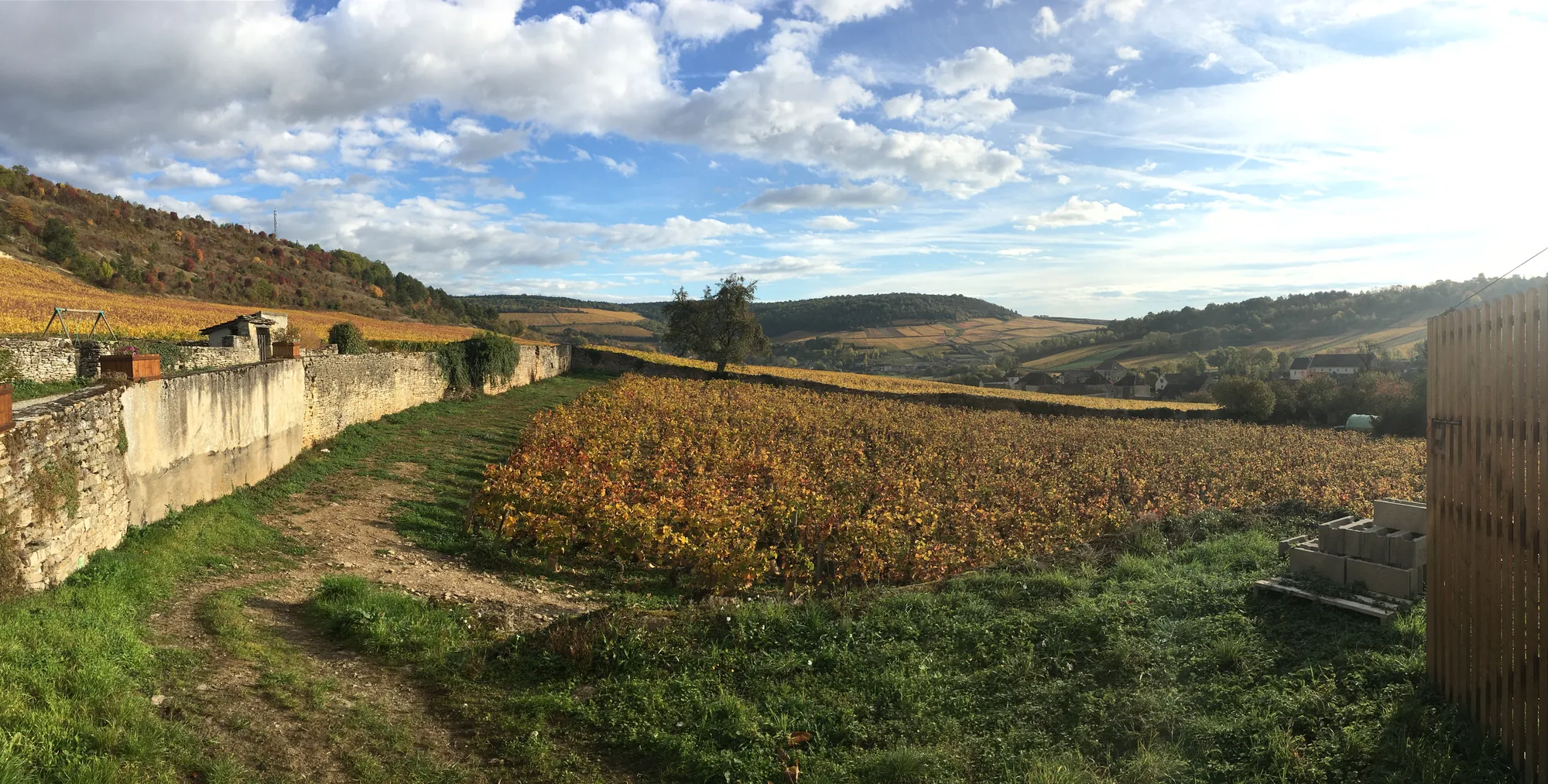 Un clos de vignes en automne sur la côte de Beaune